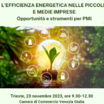 L’EFFICIENZA ENERGETICA NELLE PICCOLE E MEDIE IMPRESE: Opportunità e strumenti per PMI