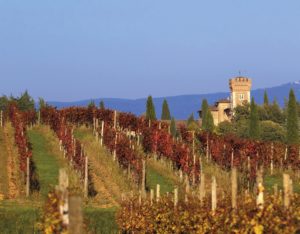 Bumbaca Gorizia 17.10.2017 Collio a Capriva © Fotografia di Pierluigi Bumbaca