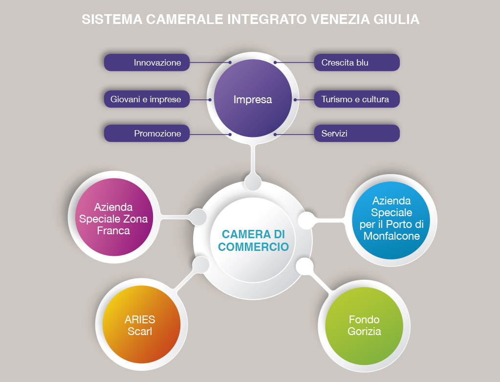 Grafico Sistema Camerale VGE Trieste economica